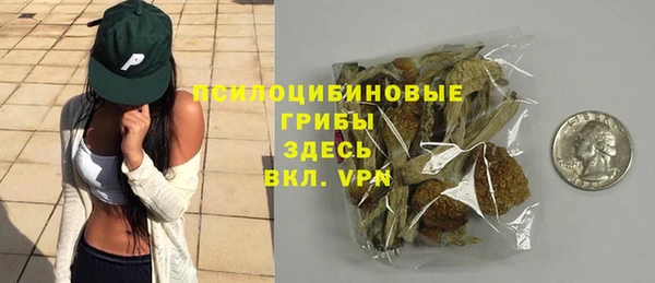 ПСИЛОЦИБИНОВЫЕ ГРИБЫ Магас
