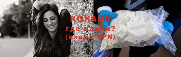 ПСИЛОЦИБИНОВЫЕ ГРИБЫ Магас