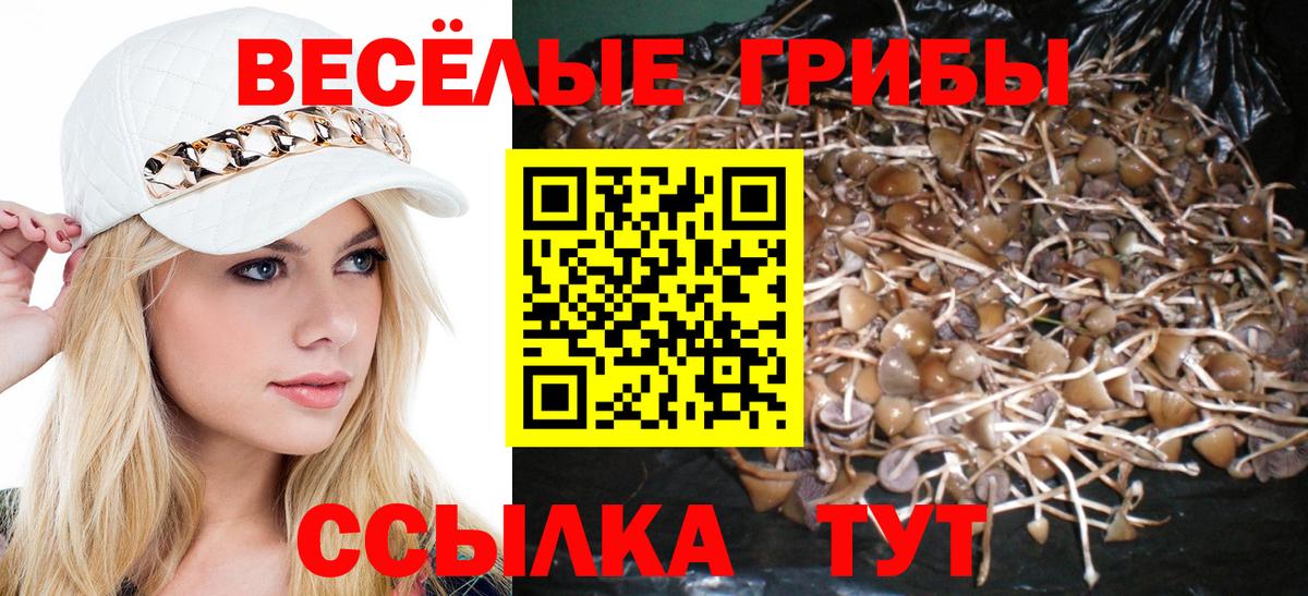 Тверь  Вход с VPN  Гашиш  Меф кристаллы  МЕТ  Экстази  ГАШИШ  Марихуана 
