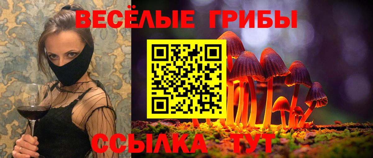 Тверь  Псилоцибиновые грибы прущие грибы  Псилоцибиновые грибы Psilocybe  Вход с VPN 