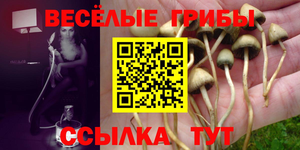Псилоцибиновые грибы MAGIC MUSHROOMS Тверь
